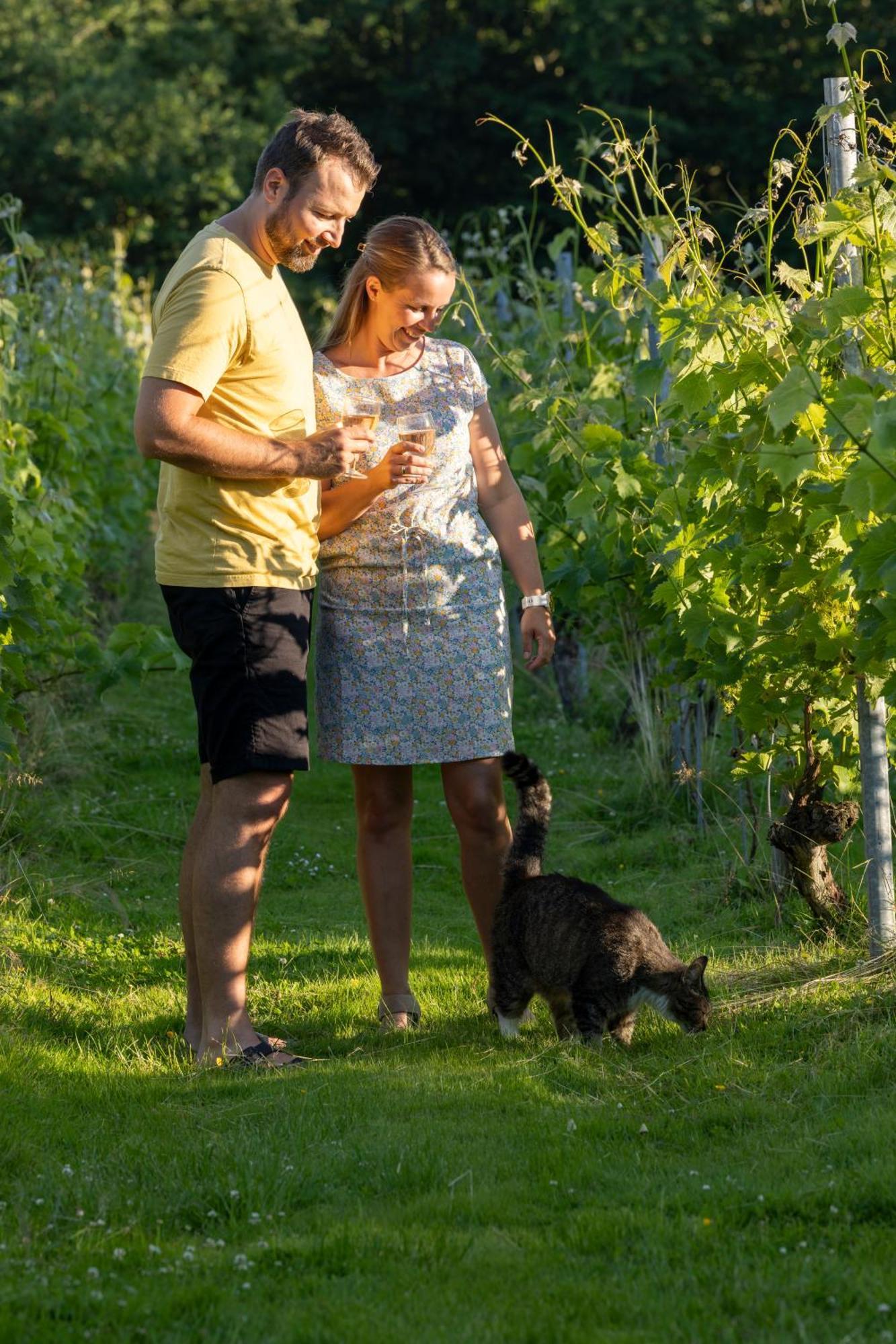 Holmegaard Vin Og Glamping Ξενοδοχείο Dannemare Εξωτερικό φωτογραφία