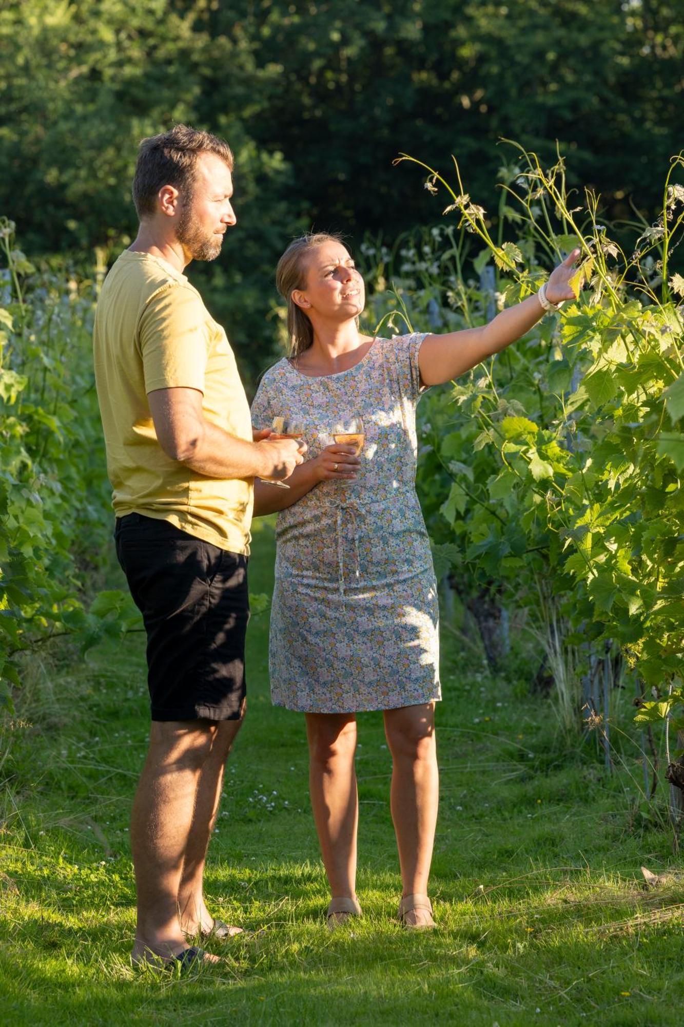 Holmegaard Vin Og Glamping Ξενοδοχείο Dannemare Εξωτερικό φωτογραφία